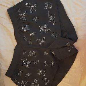 ●Nwot HOLLISTER shorts size XS